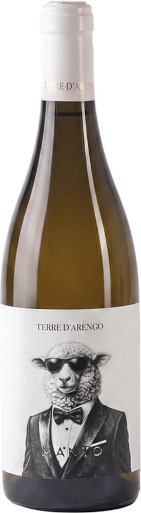 2024 Pecorino Offida DOCG reflection