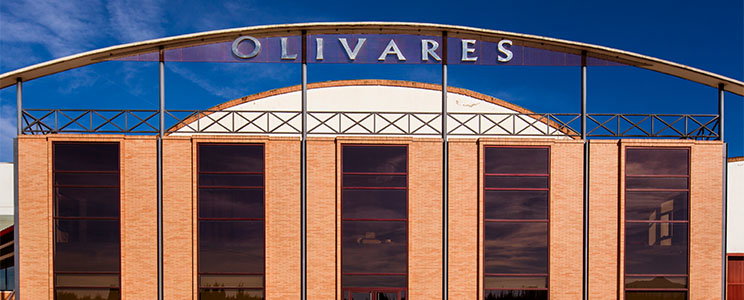 Olivares