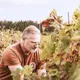 Domaine l'Ancienne Cure
