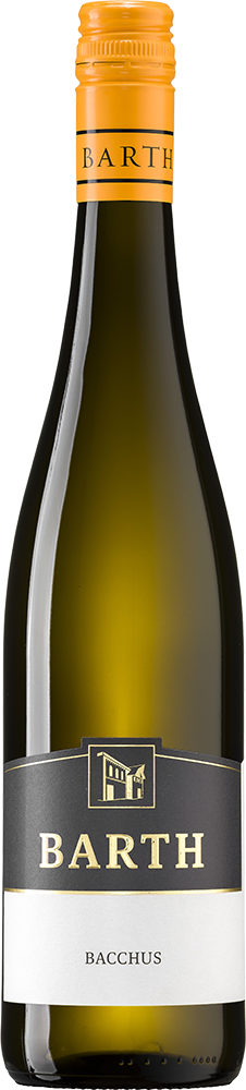 2025 Bacchus