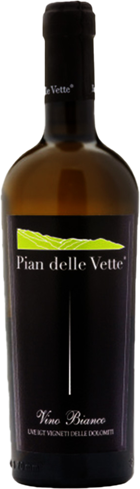 2022 Chardonnay Vigneti delle Dolomiti IGP