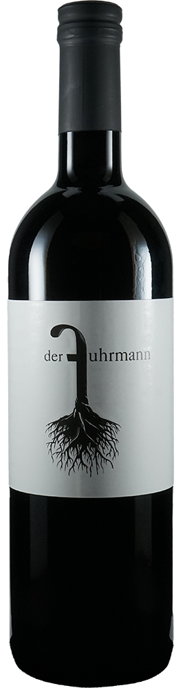 2023 Cabernet Sauvignon BIO