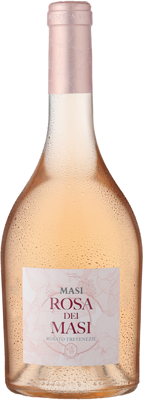  Rosa dei Masi Trevenezie IGP
