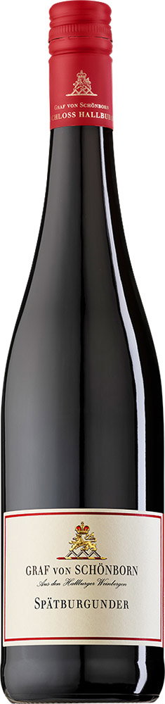 2021 Spätburgunder Hallburg