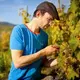 Weingut Reis