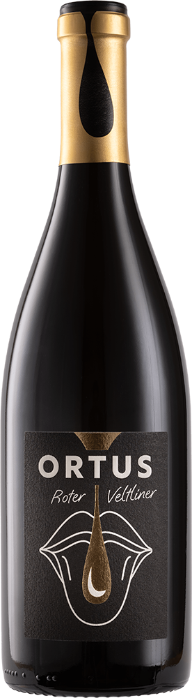 2023 "ORTUS" Roter Veltliner Ried Steinbruch
