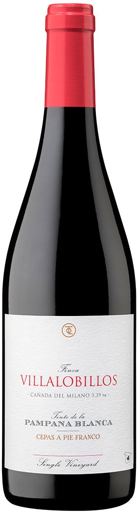 2022 Finca Villalobillos Tinto de la Pámpana Blanca Castilla VT