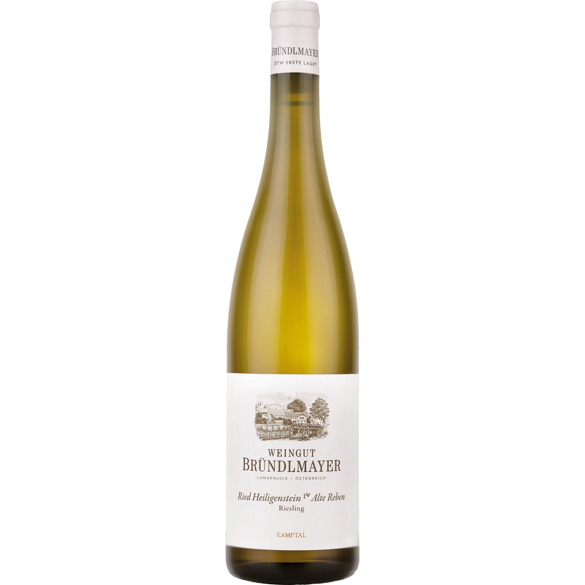 2022 Alte Reben Ried Heiligenstein Riesling BIO reflection