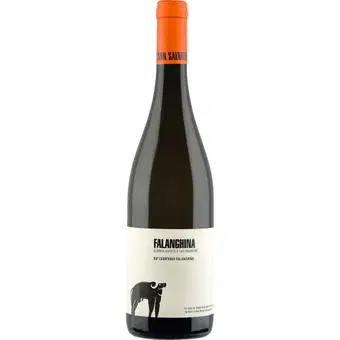 2024 San Salvatore Falanghina Bianco