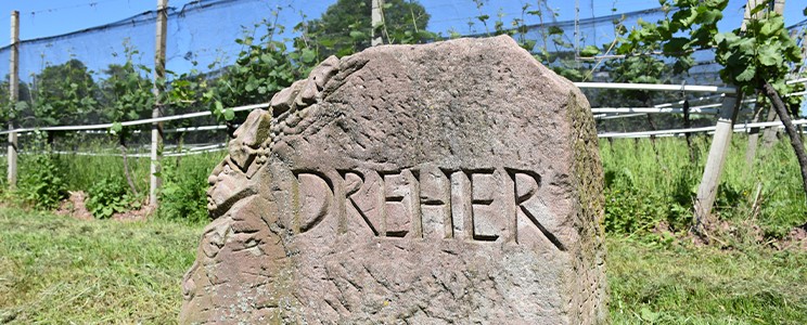 Dreher