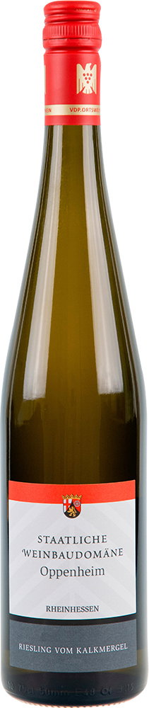 2024 Riesling vom Kalkmergel | EDITION TERROIR