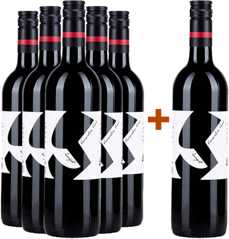 5+1 Paket Zweigelt Rubin Carnuntum DAC trocken BIO