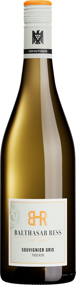 2025 Souvignier Gris BIO