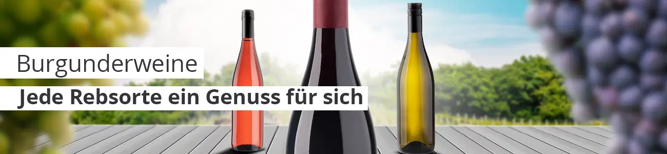 Burgunderweine header - Jede Rebsorte ein Genuss für sich