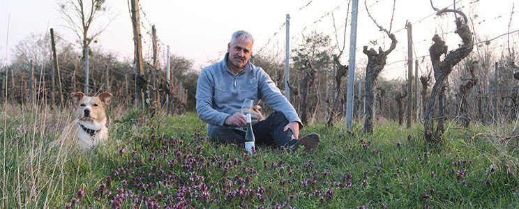 Manfred Schwab