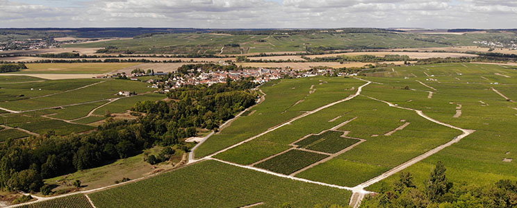 Champagne Gilbert Jacquesson