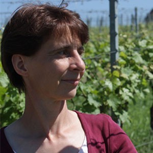 Elke Hieber