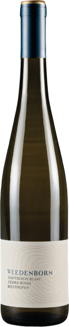 2021 Terra Rossa Sauvignon Blanc
