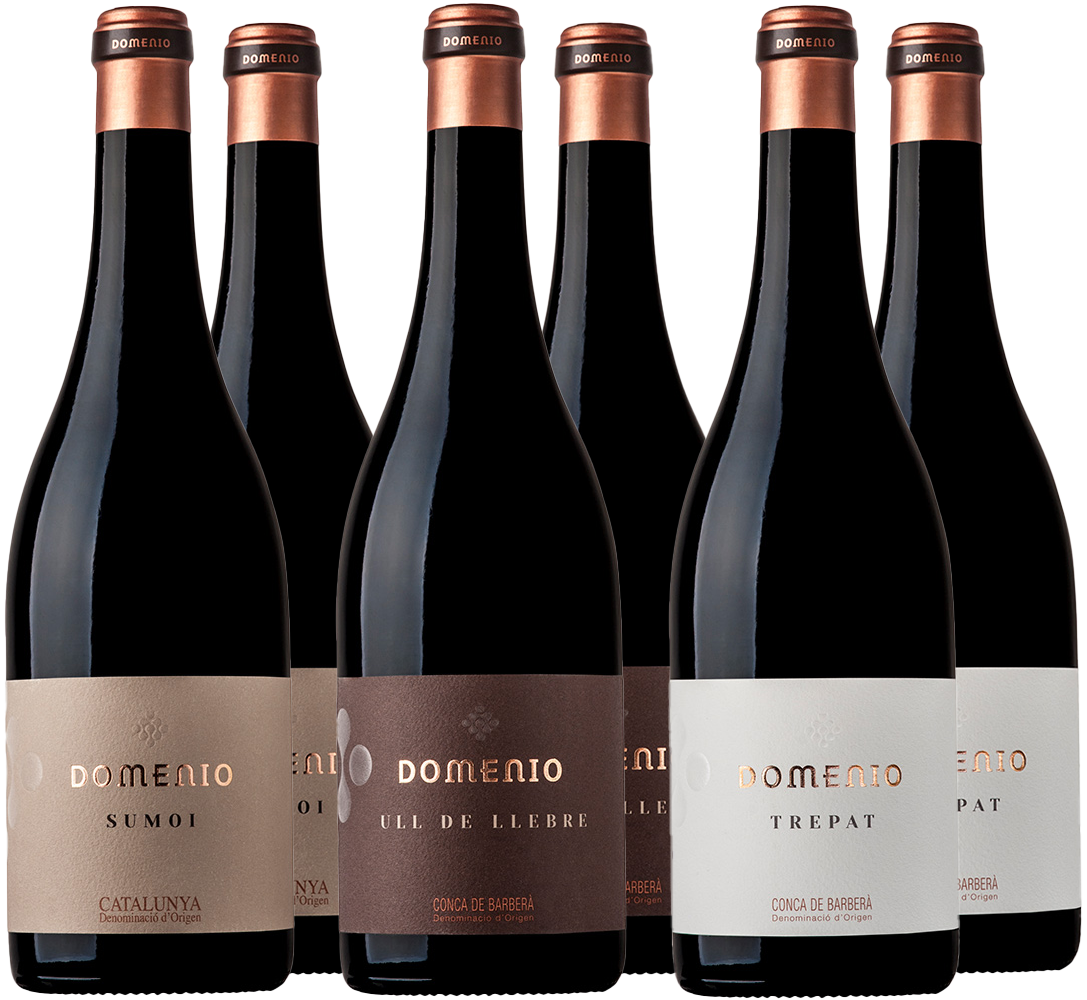 Kennenlernpaket Cellers Domenys