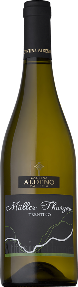 Müller Thurgau Trentino DOC