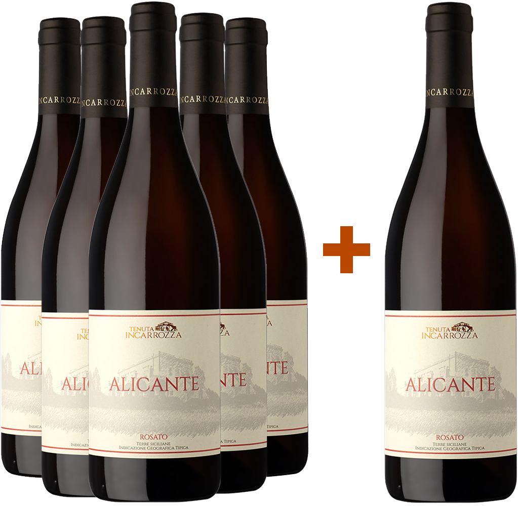 5+1 Paket Alicante Rosato Terre Siciliane IGP