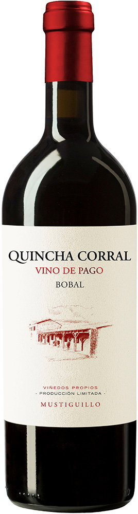 2019 Quincha Corral El Terrerazo VP BIO
