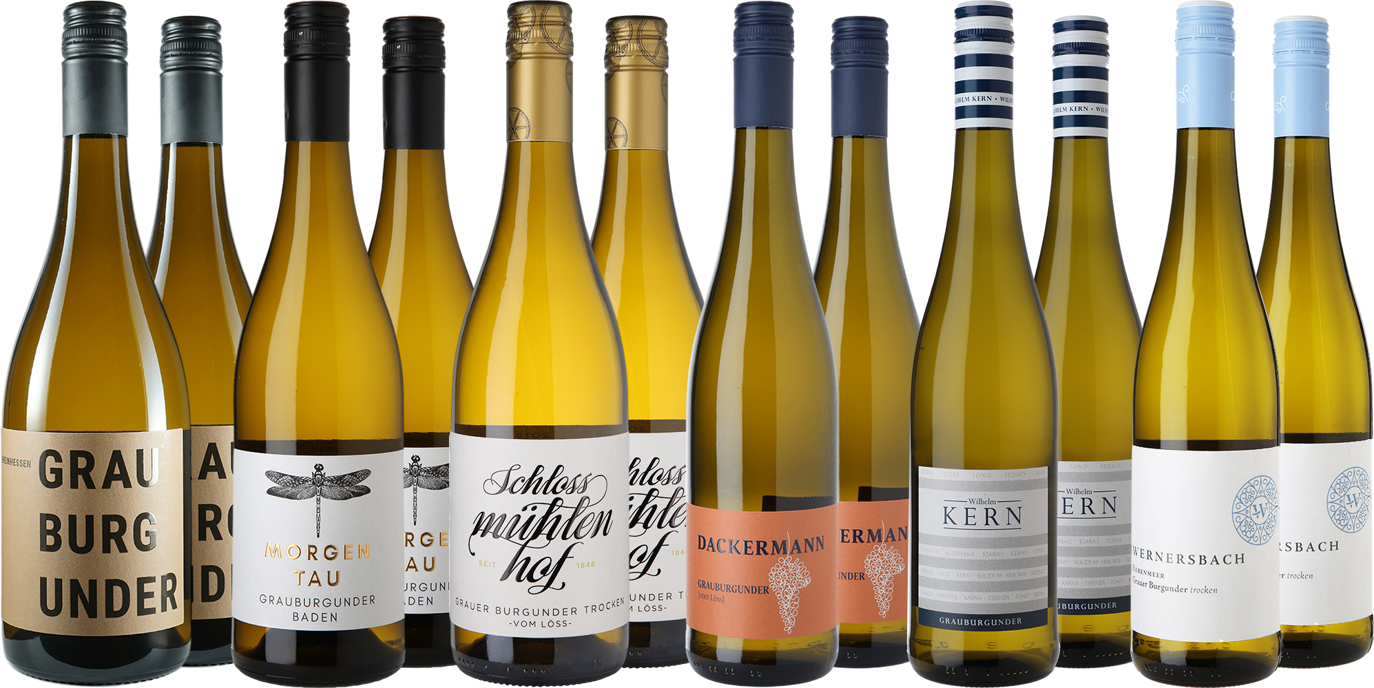 Großes Grauburgunder Entdecker-Paket
