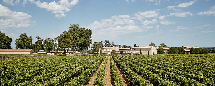 Château Coutet