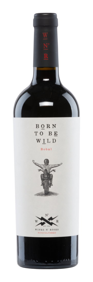 2023 Born To Be Wild Tinto Valencia DO reflection