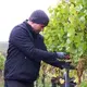 Weingut Reichert