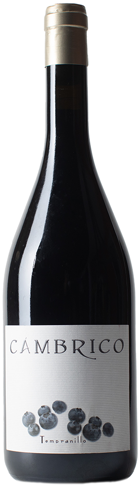2012 Cámbrico Tempranillo Sierra de Salamanca DOP