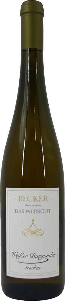 2024 Weisser Burgunder