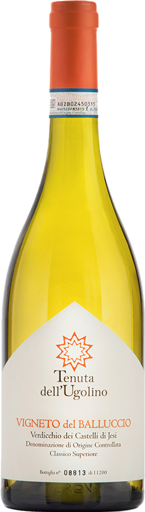2024 Vigneto del Balluccio Verdicchio dei Castelli di Jesi Classico Superiore DOC BIO
