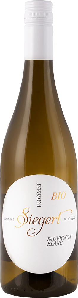 2024 Sauvignon Blanc BIO