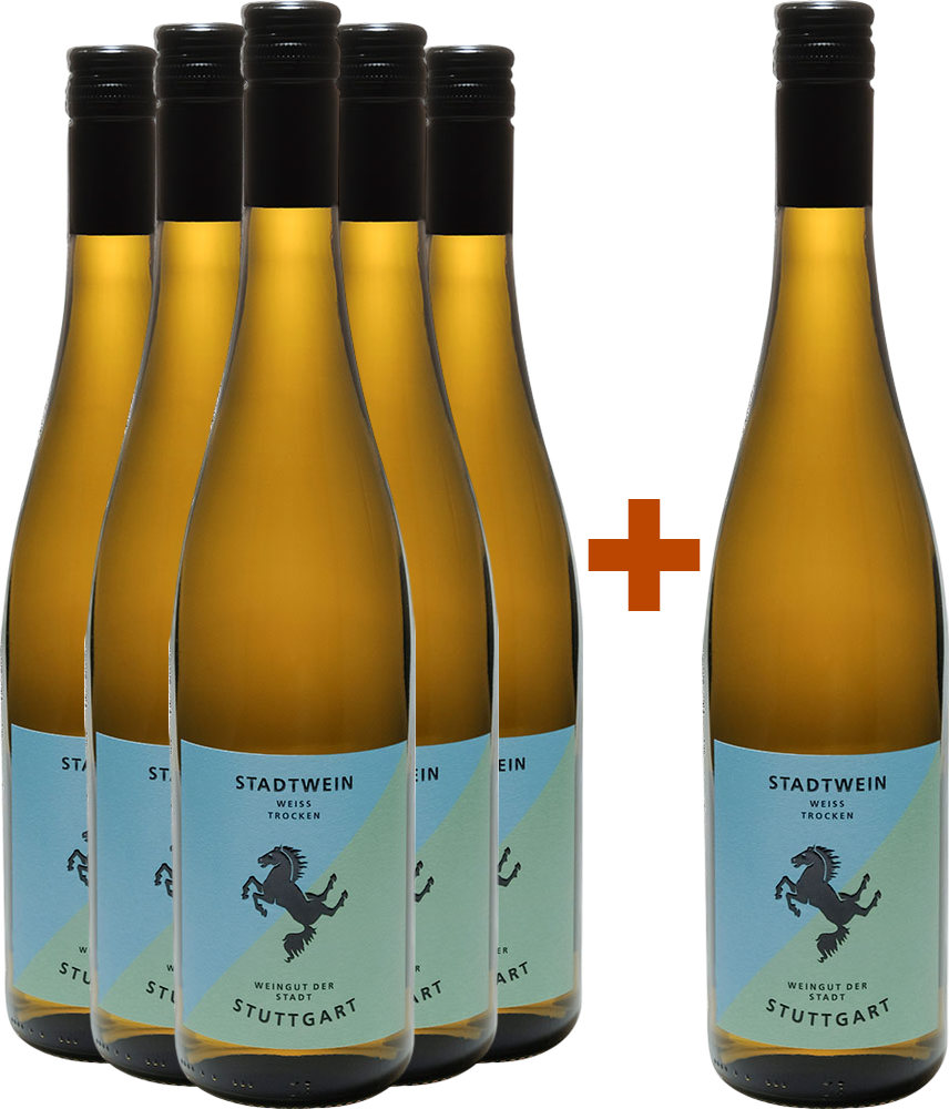 5+1 Paket Stadtwein Weiß BIO