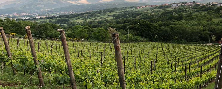 Castelsimoni