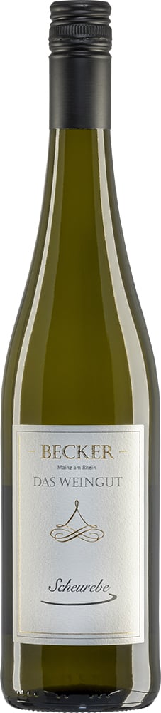 2024 Scheurebe
