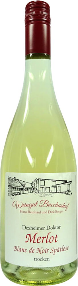 2024 Merlot Blanc de Noir