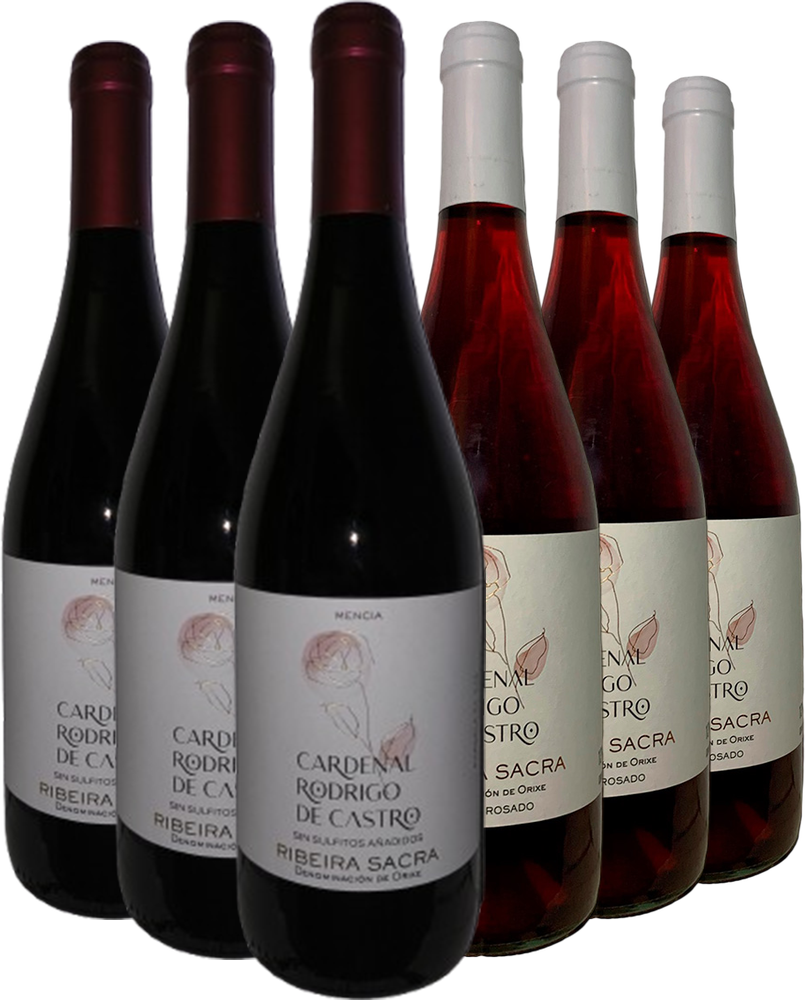 Cardenal Rodrigo de Castro Ribeira Sacra DO-Paket