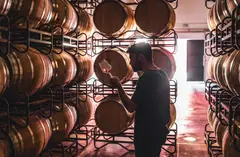 winemaker tasting wine in cellar