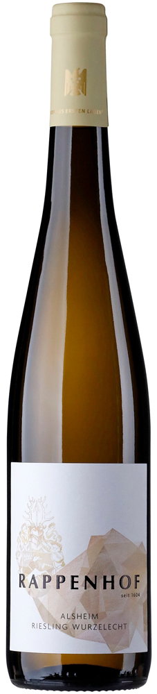 2024 Alsheim Fischerpfad Riesling -wurzelecht- VDP.Erstes Gewächs