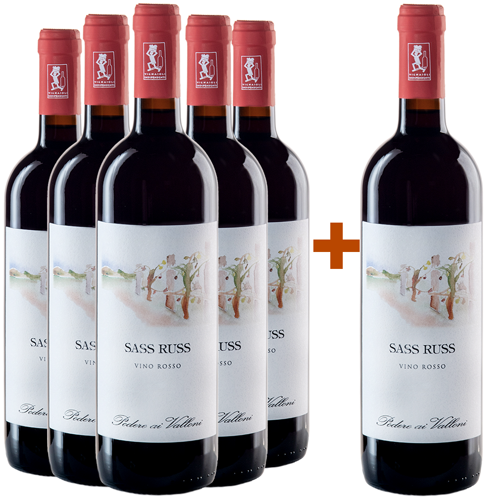 5+1 Paket Vino Rosso Sass Russ BIO