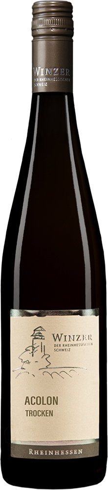 2025 Acolon
