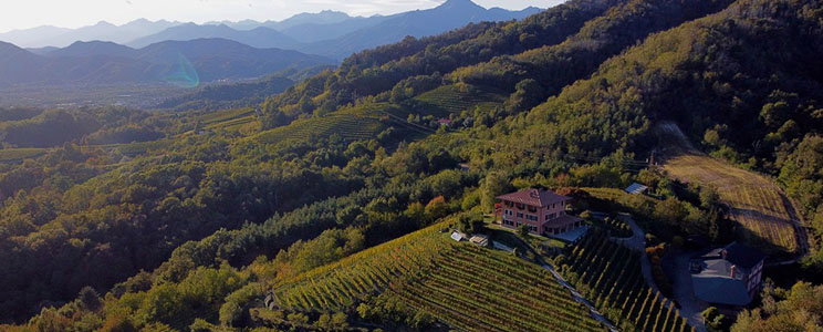 Podere ai Valloni