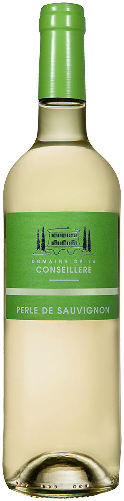 2025 Perle de Sauvignon Pays d’Oc IGP