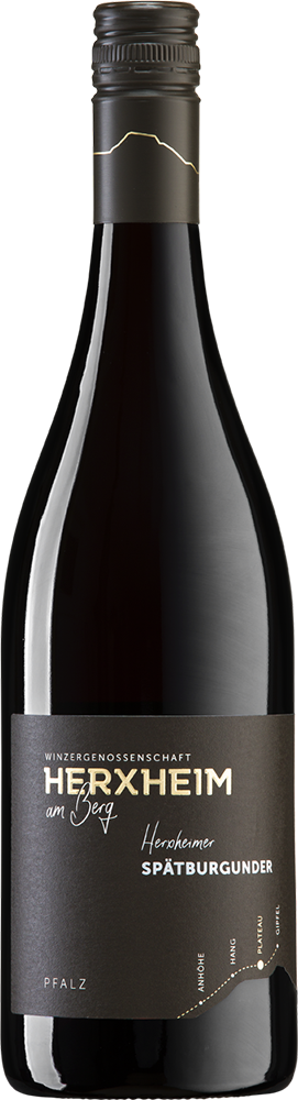 2023 PLATEAU Herxheimer Spätburgunder Rotwein
