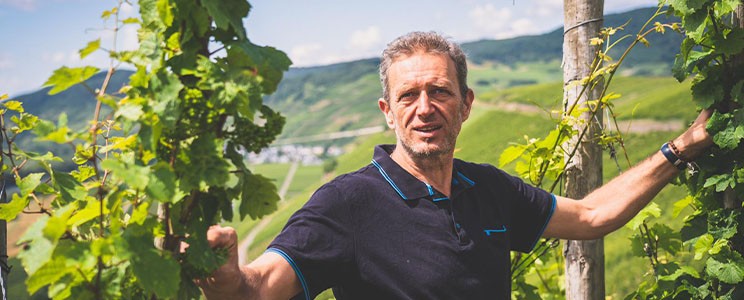 Burgenweingut