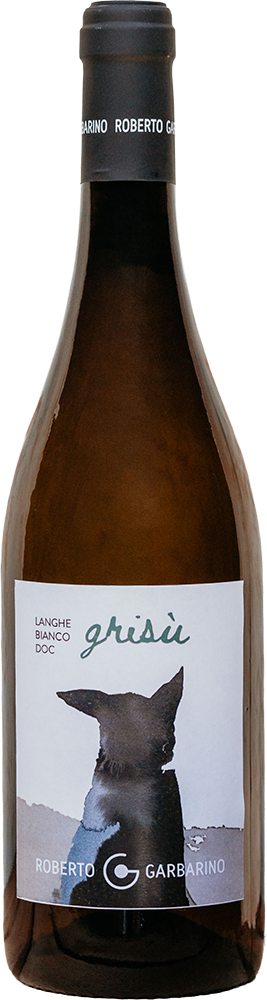 2024 Grisù Langhe DOC