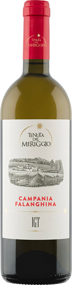 2022 Falanghina Campania IGP 0,375 L reflection