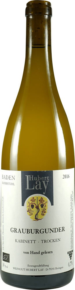 2024 Grauer Burgunder Gutswein BIO